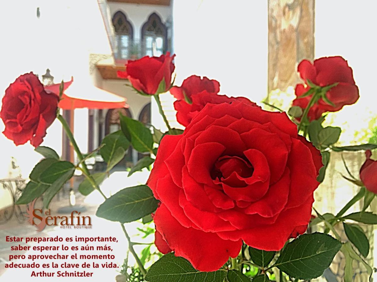 El Serafin Hotel Boutique เกเรตาโร ภายนอก รูปภาพ